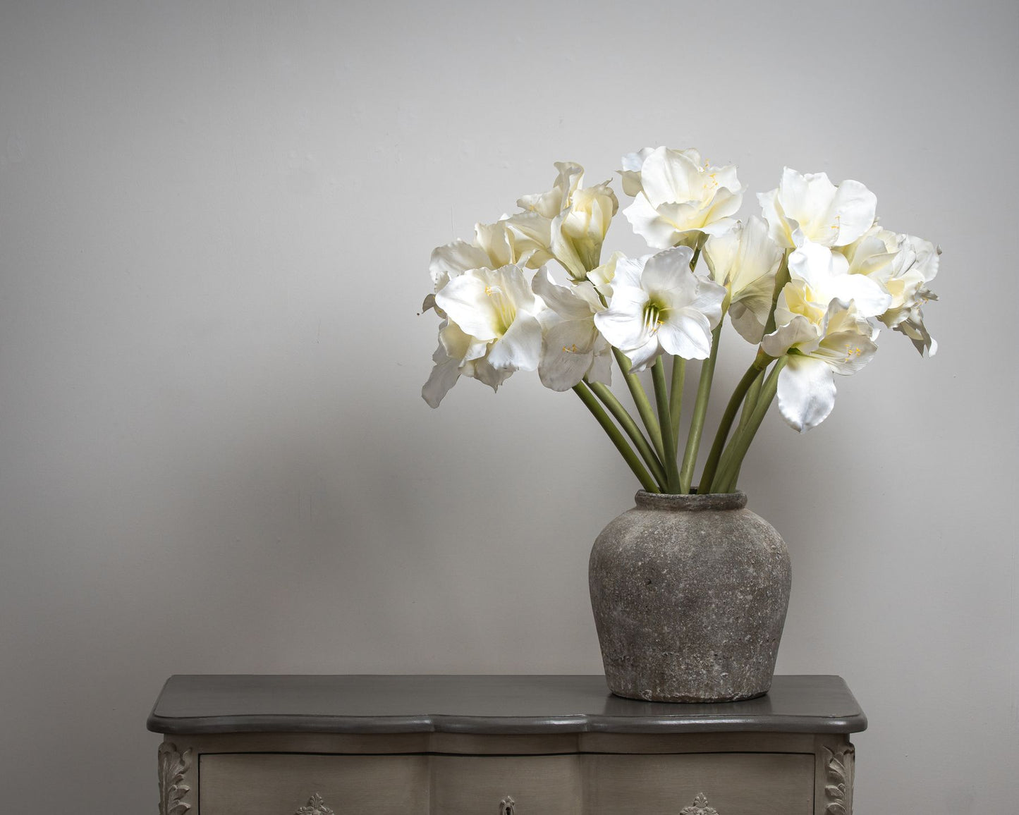 Classic White Amaryllis Flower