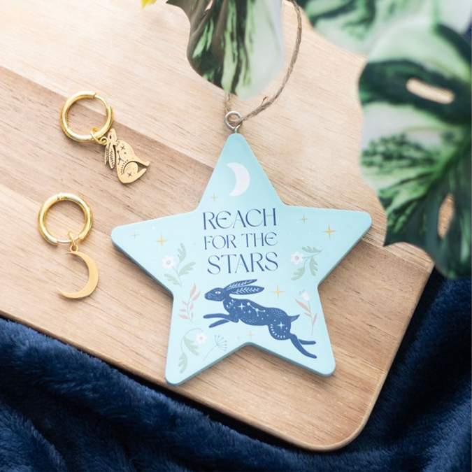 Reach for the Stars Hare Hanging Decoration