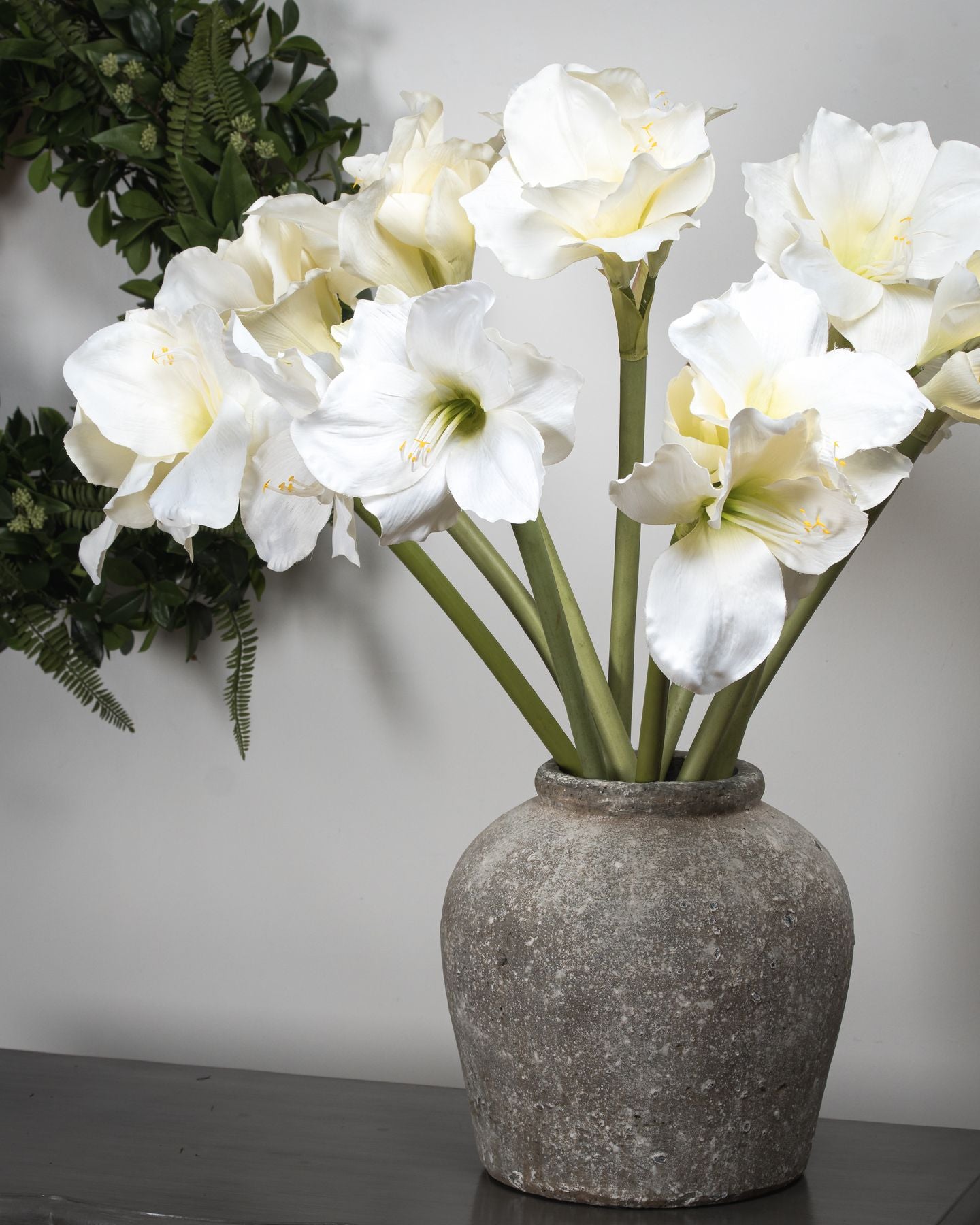 Classic White Amaryllis Flower