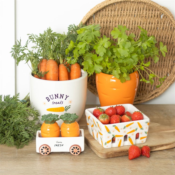 Carrot Shaped Plant Pot with Parsley Seed Balls