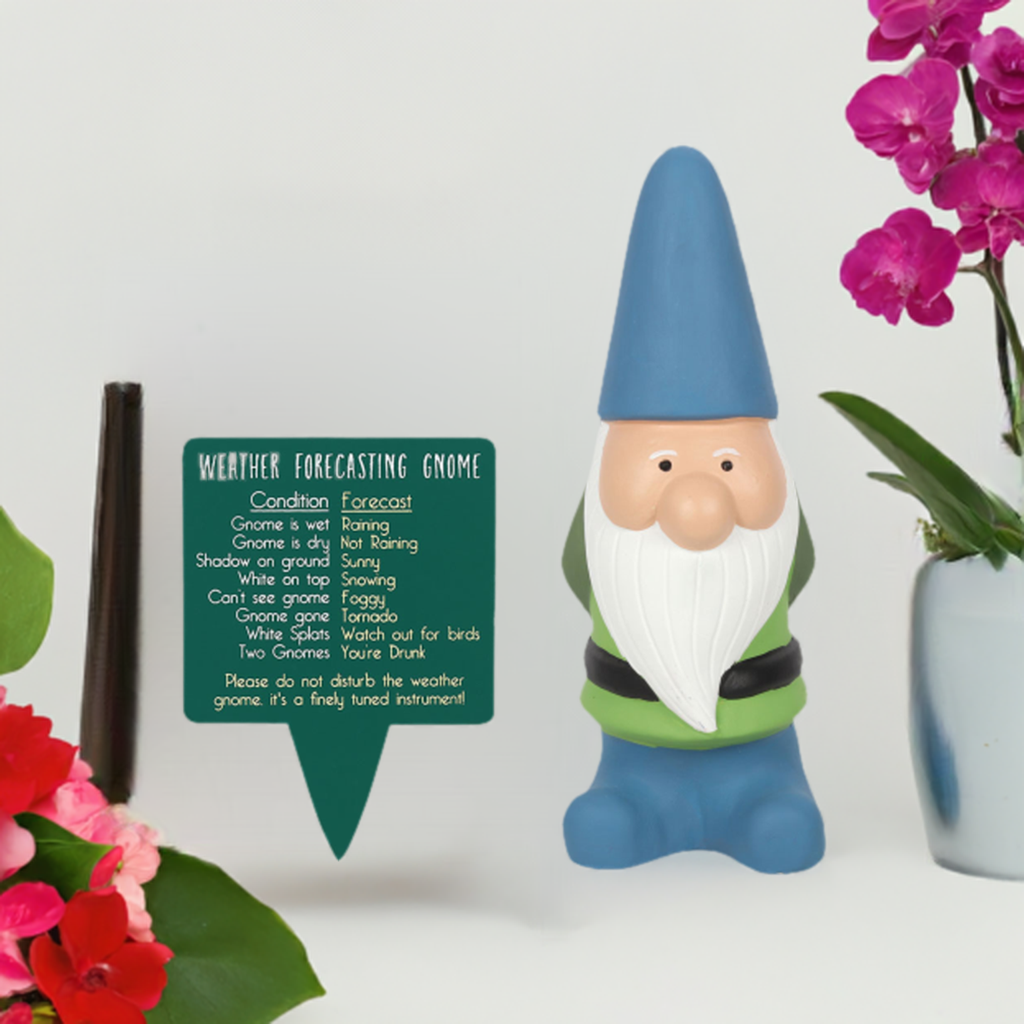 Large Weather Forecasting Gnome