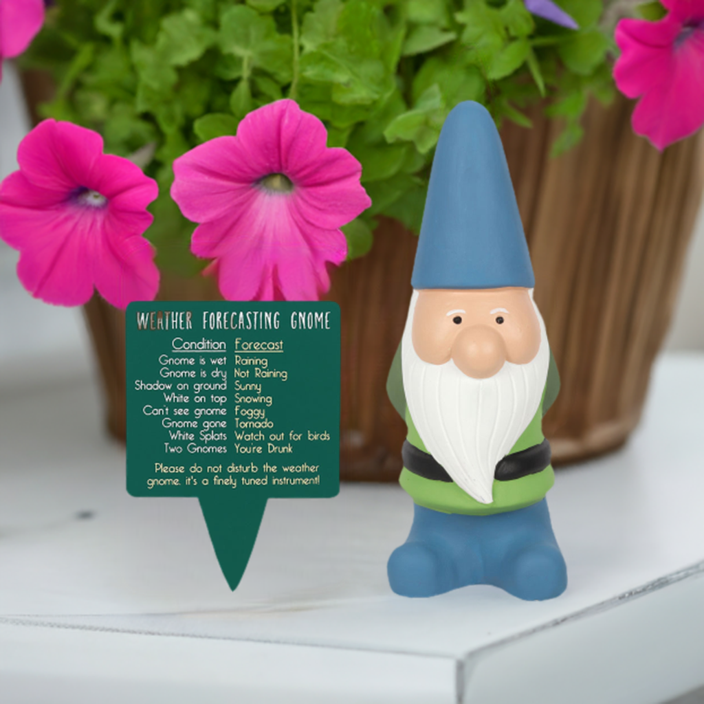 Large Weather Forecasting Gnome