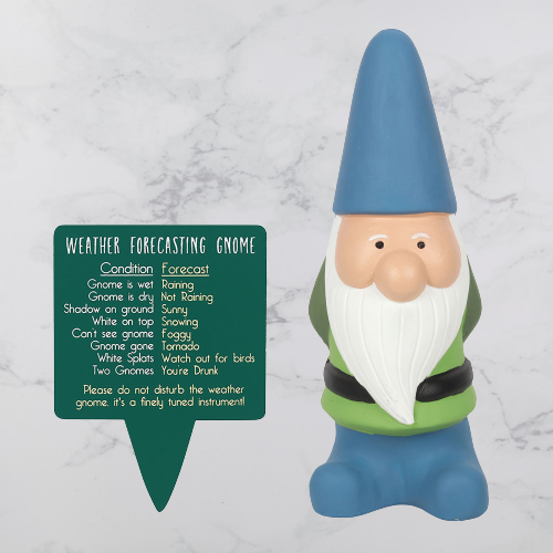 Large Weather Forecasting Gnome