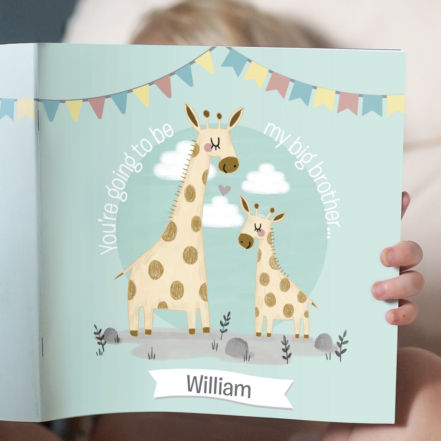 Personalised Big Brother Story Book