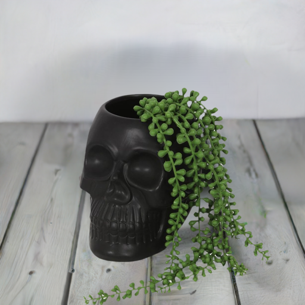 Black Skull Plant Pot